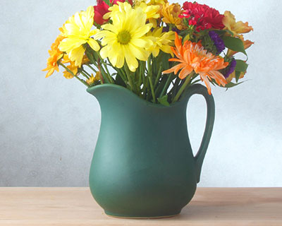 Pitcher with flowers